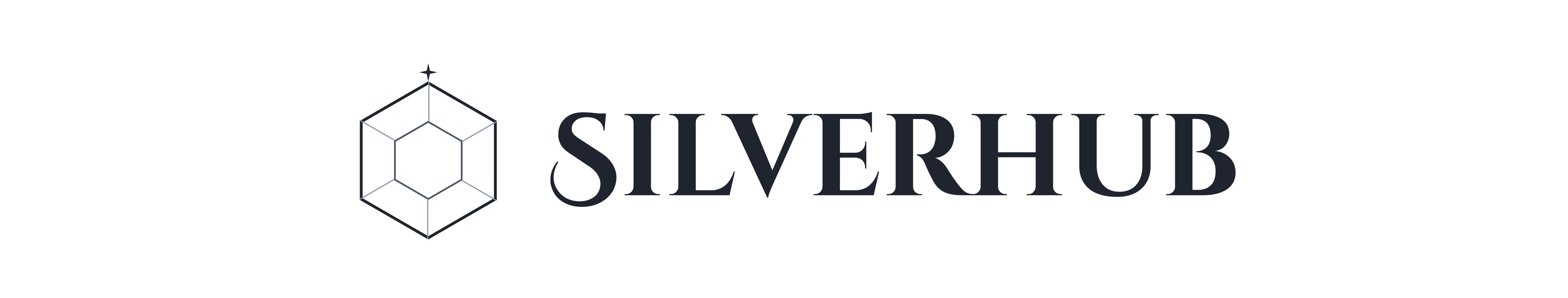 Silver Hub